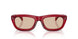 305393 - Red - Solid Light Pink