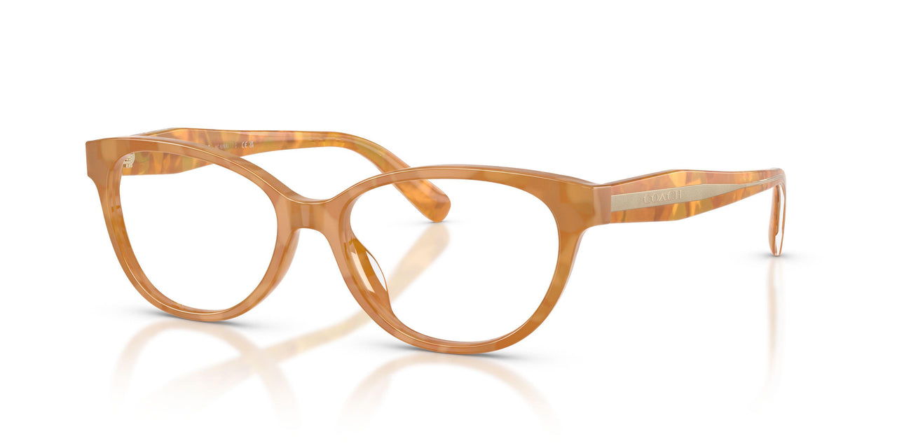 5939 - Tortoise