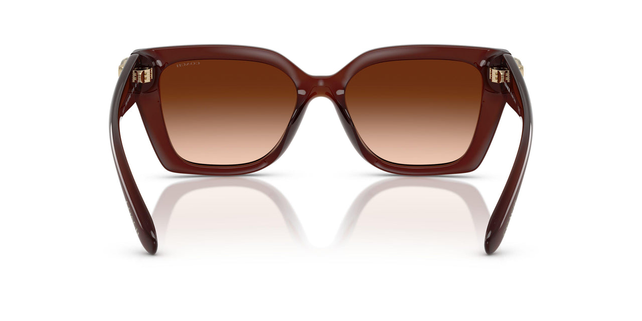 584174 - Brown - Brown Gradient
