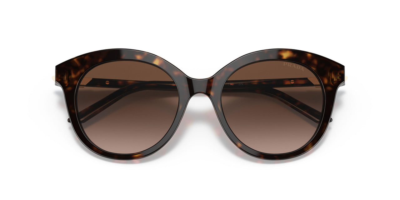 2AU6S1 - Havana - Brown Gradient
