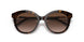 2AU6S1 - Havana - Brown Gradient