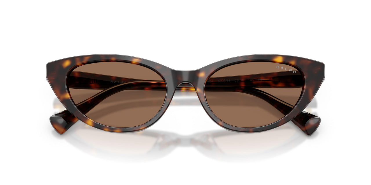 500373 - Tortoise - Brown