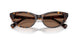 500373 - Tortoise - Brown