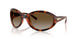 W656T5 - Brown - Gradient Brown Polar