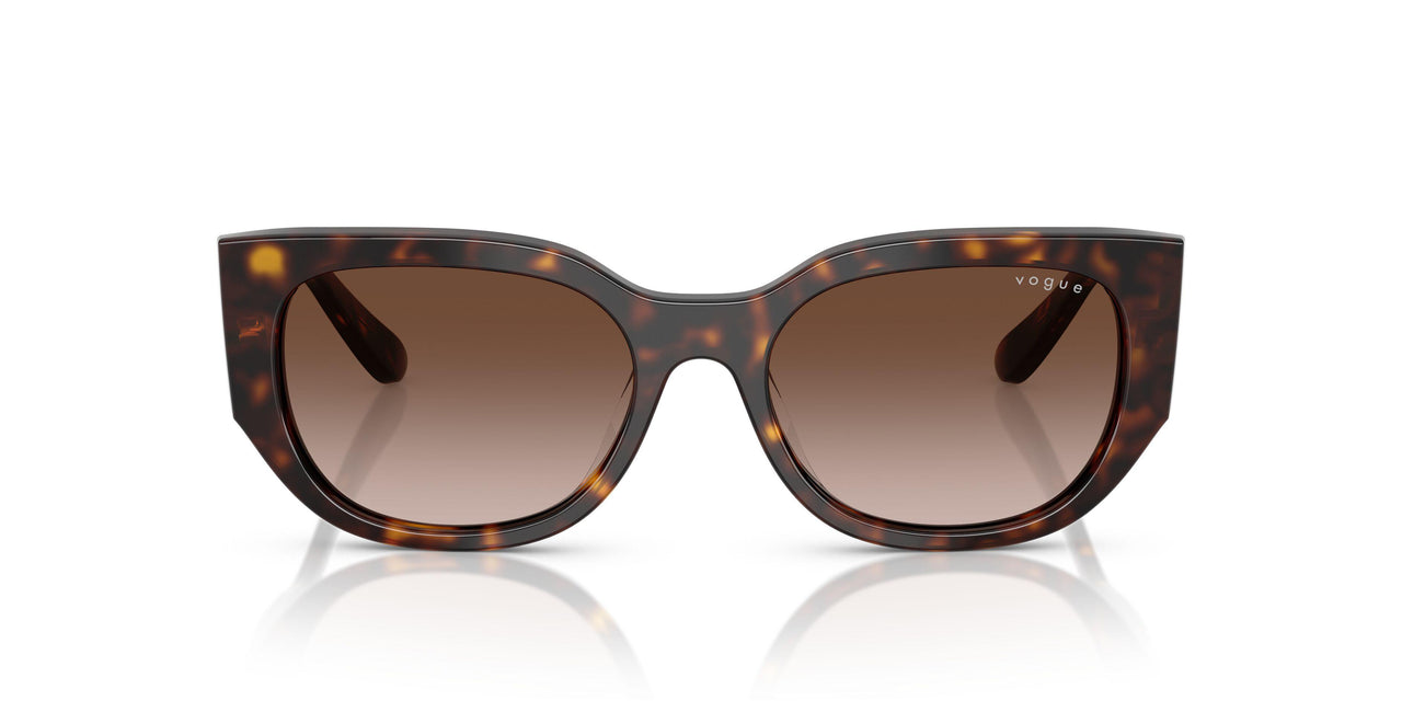 W65613 - Brown - Gradient Brown