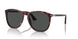 24/GH - Tortoise - Transitions 8 Grey