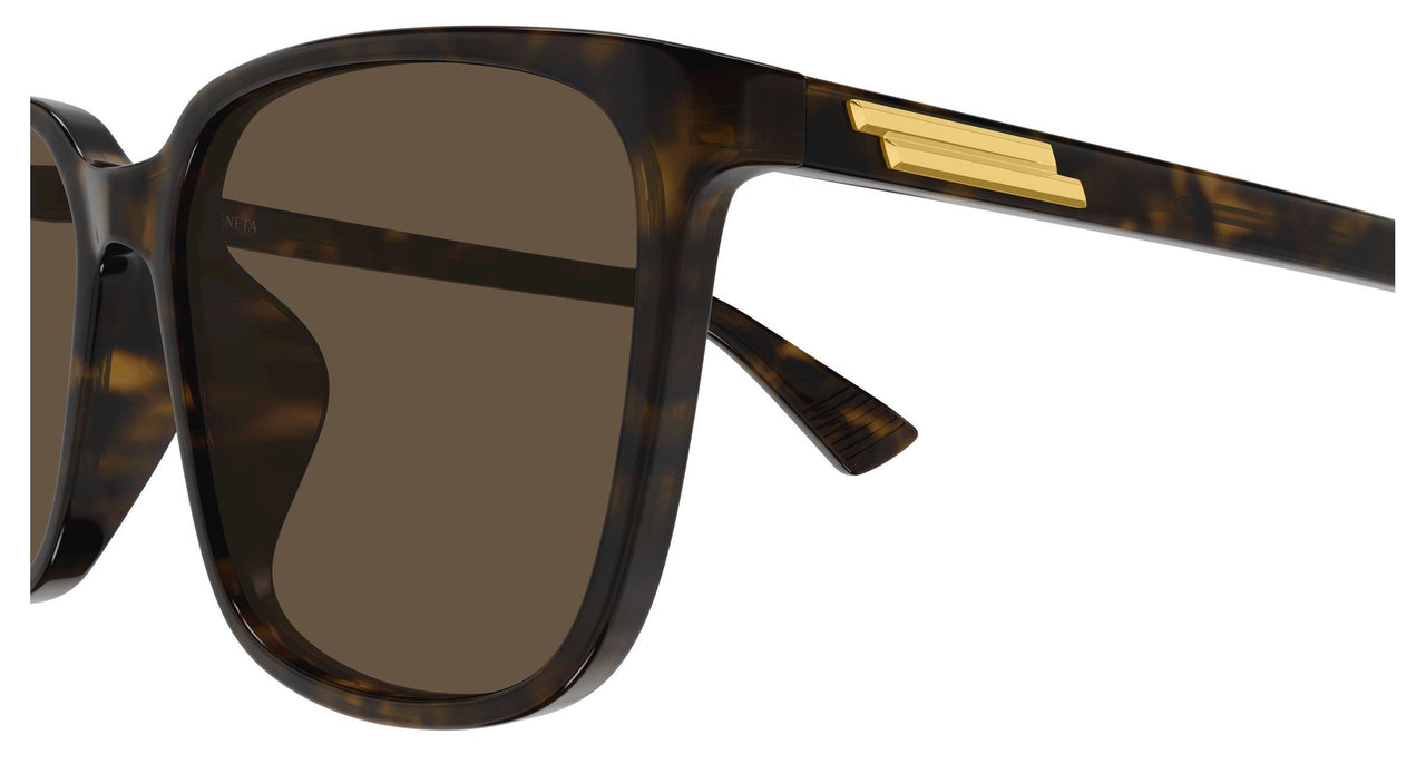 002 - Havana - Brown