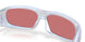 949403 - Grey - Prizm Berry
