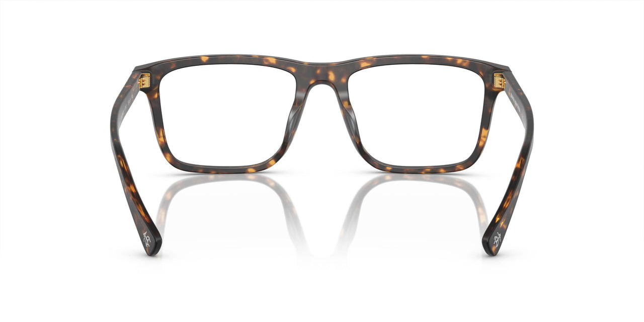 6161 - Tortoise
