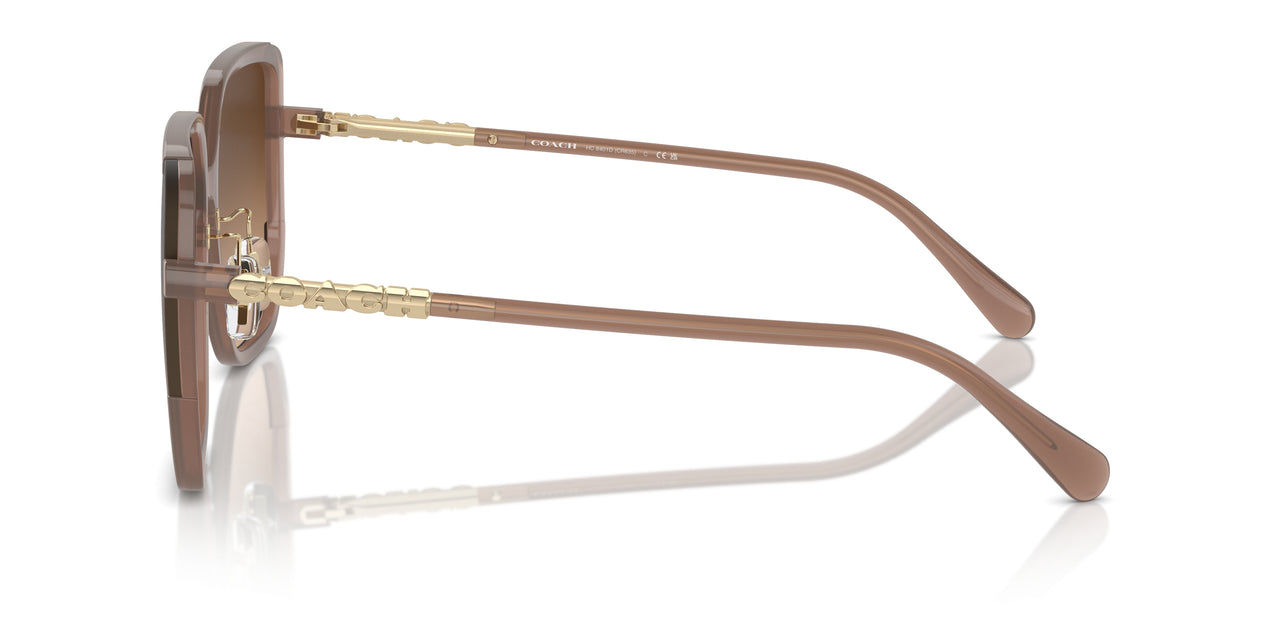 580874 - Brown - Brown Gradient