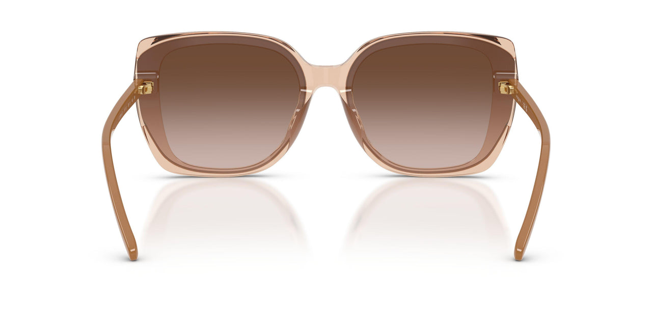 318113 - Brown - Gradient Dark Brown
