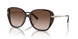 300613 - Tortoise - Brown Gradient