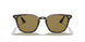 710/73 - Havana - Brown