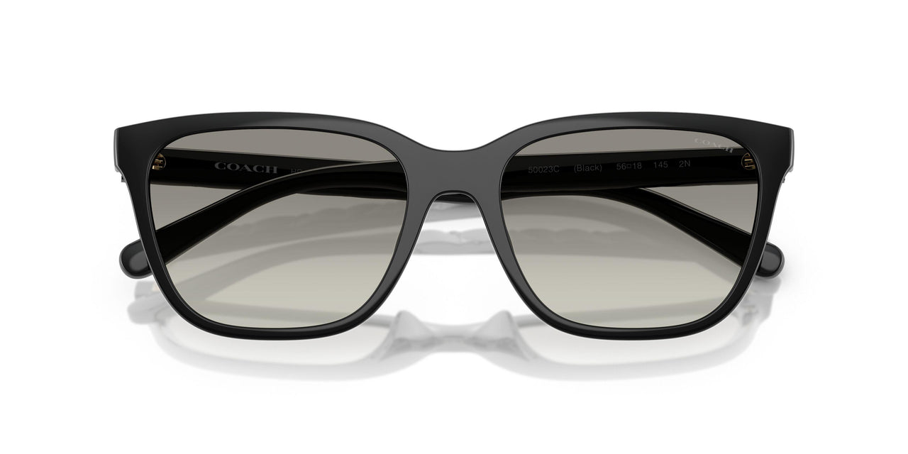 50023C - Black - Grey Gradient