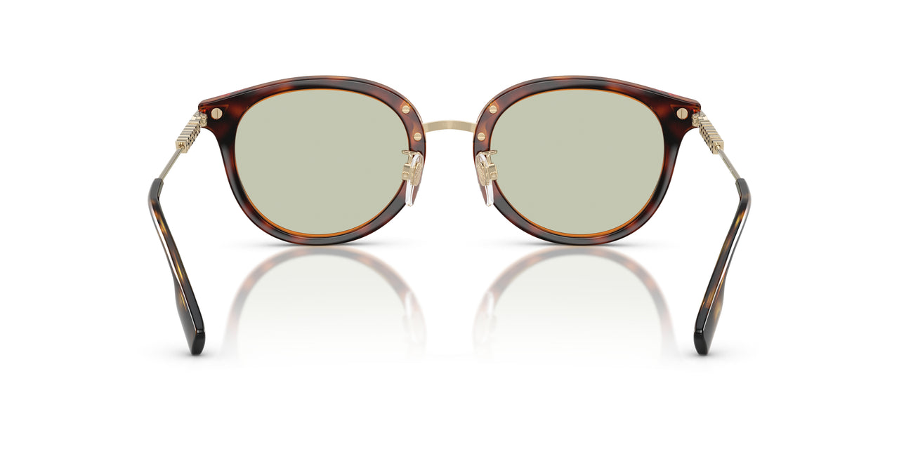 3002/2 - Brown - Light Green