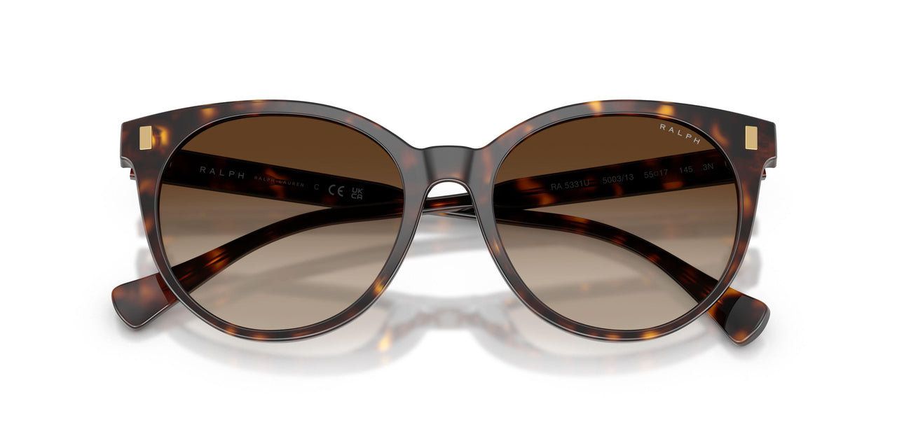 500313 - Tortoise - Brown Gradient