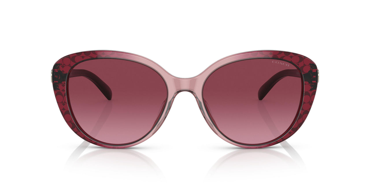 57098H - Purple/reddish - Violet Pink Gradient