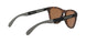 942808 - Havana - Prizm Tungsten Polarized