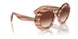 172613 - Brown - Spice Brown Gradient