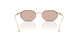 341173 - Gold - Light Brown
