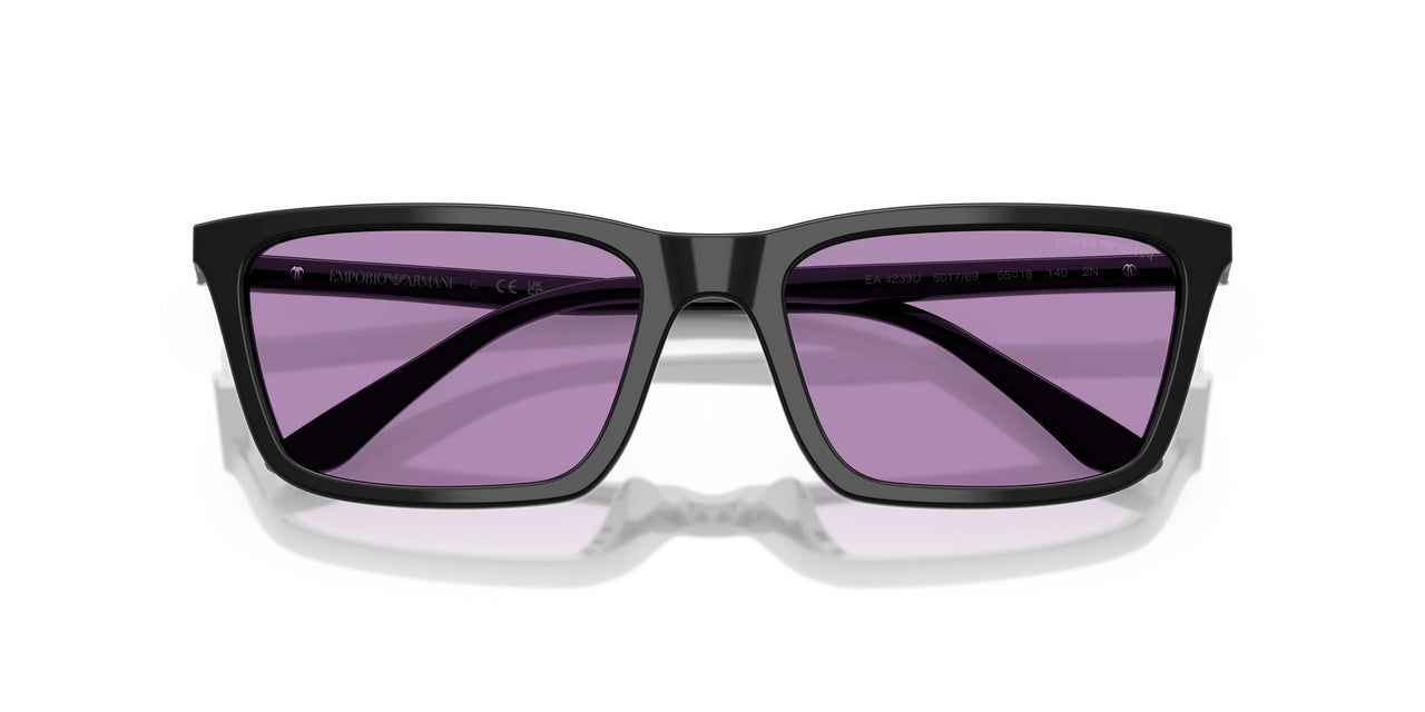 501769 - Black - Purple