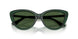 416271 - Green - Dark Green