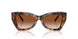 39043B - Tortoise - Brown Gradient