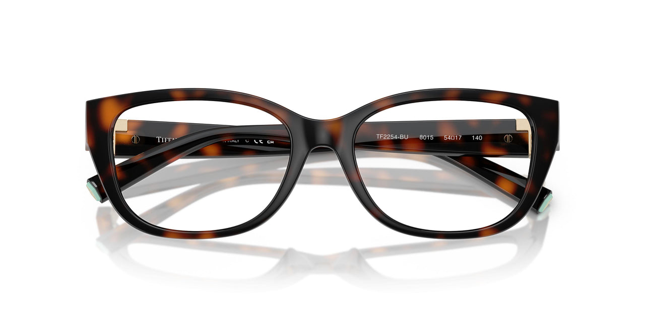 8015 - Tortoise