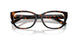 8015 - Tortoise