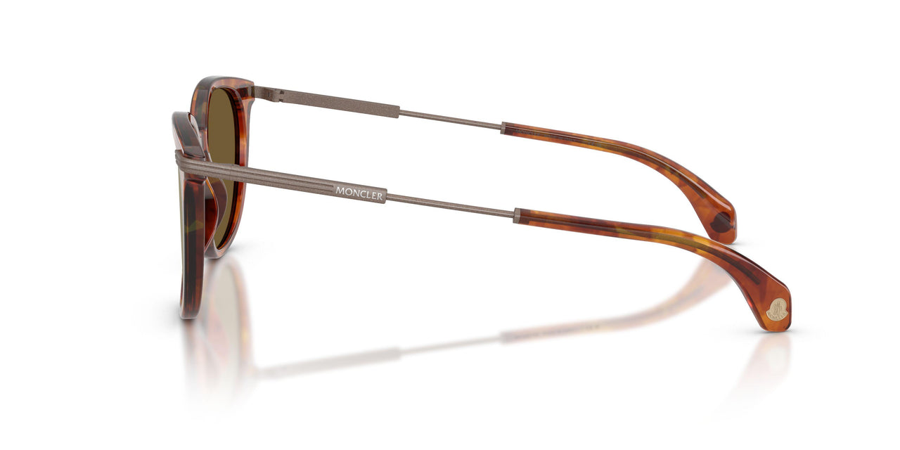 300475 - Tortoise - Mirror Olive