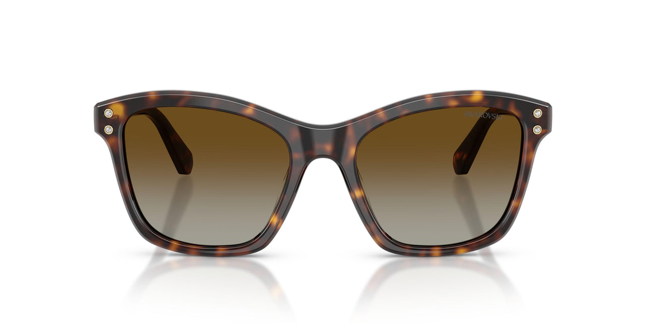 1002T5 - Tortoise - Polar Brown Gradient