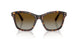 1002T5 - Tortoise - Polar Brown Gradient