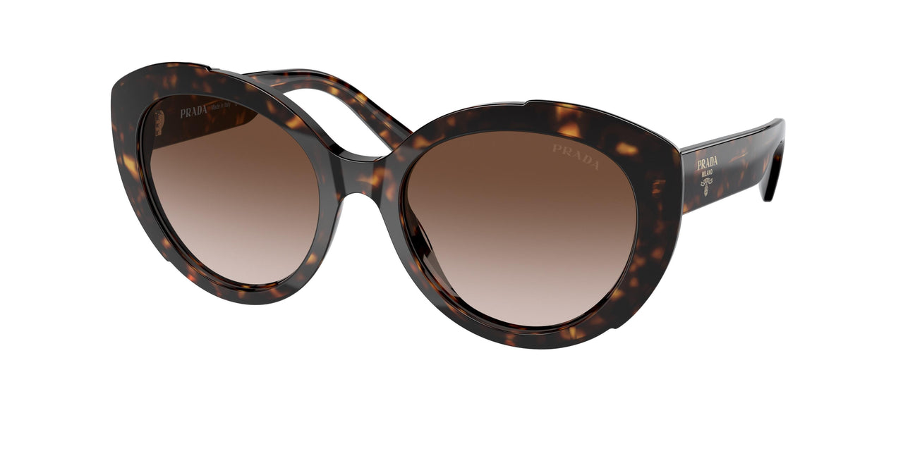 2AU6S1 - Havana - Brown Gradient
