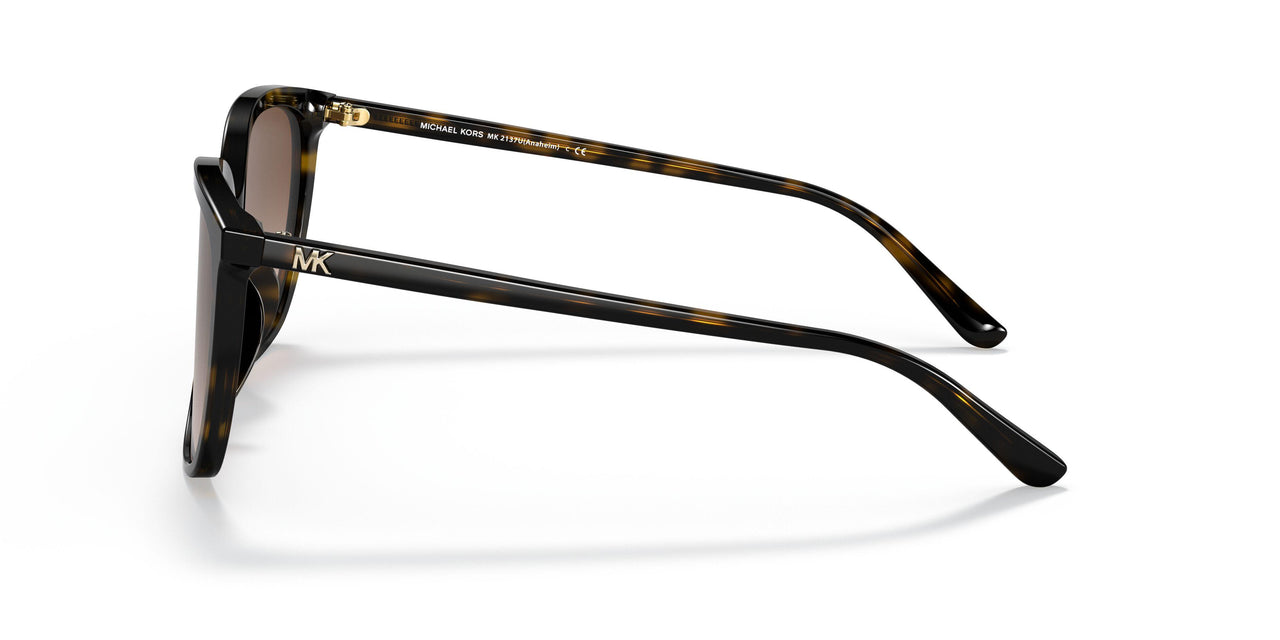 300613 - Havana - Brown Gradient