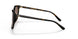 300613 - Havana - Brown Gradient