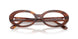 2144 - Brown - Clear