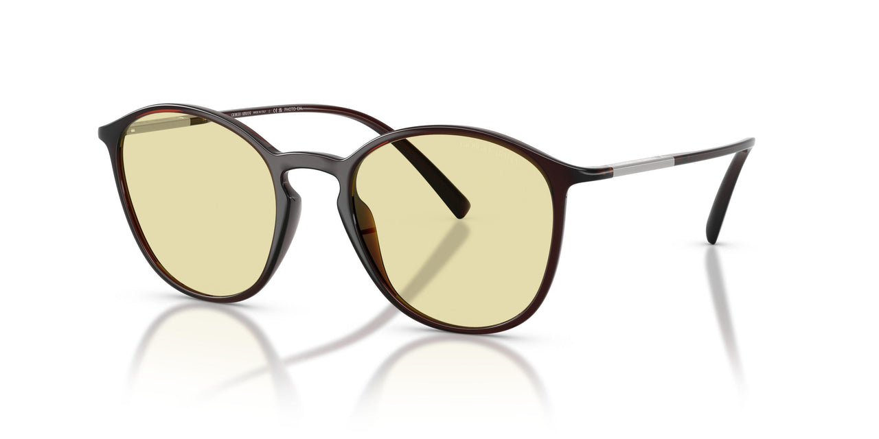 6239M4 - Brown - Photochromatic Brown