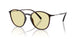 6239M4 - Brown - Photochromatic Brown