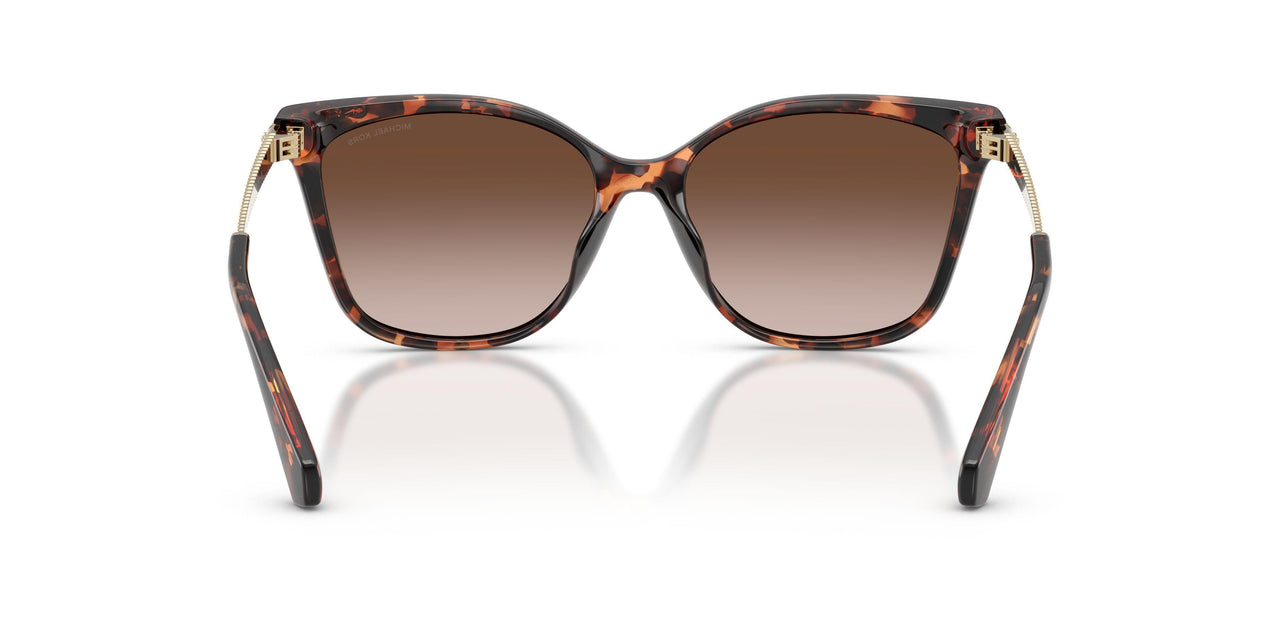 403113 - Tortoise - Brown Gradient