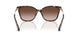 403113 - Tortoise - Brown Gradient