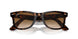 902/51 - Havana - Crystal Brown Gradient