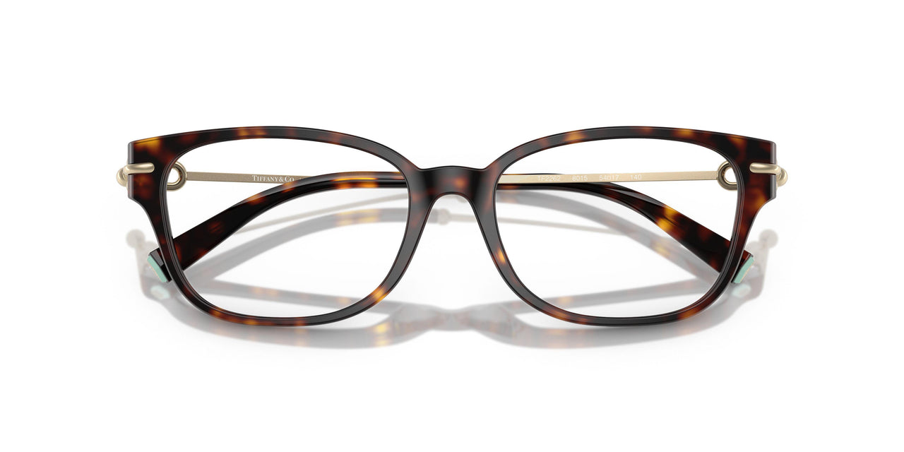 8015 - Tortoise