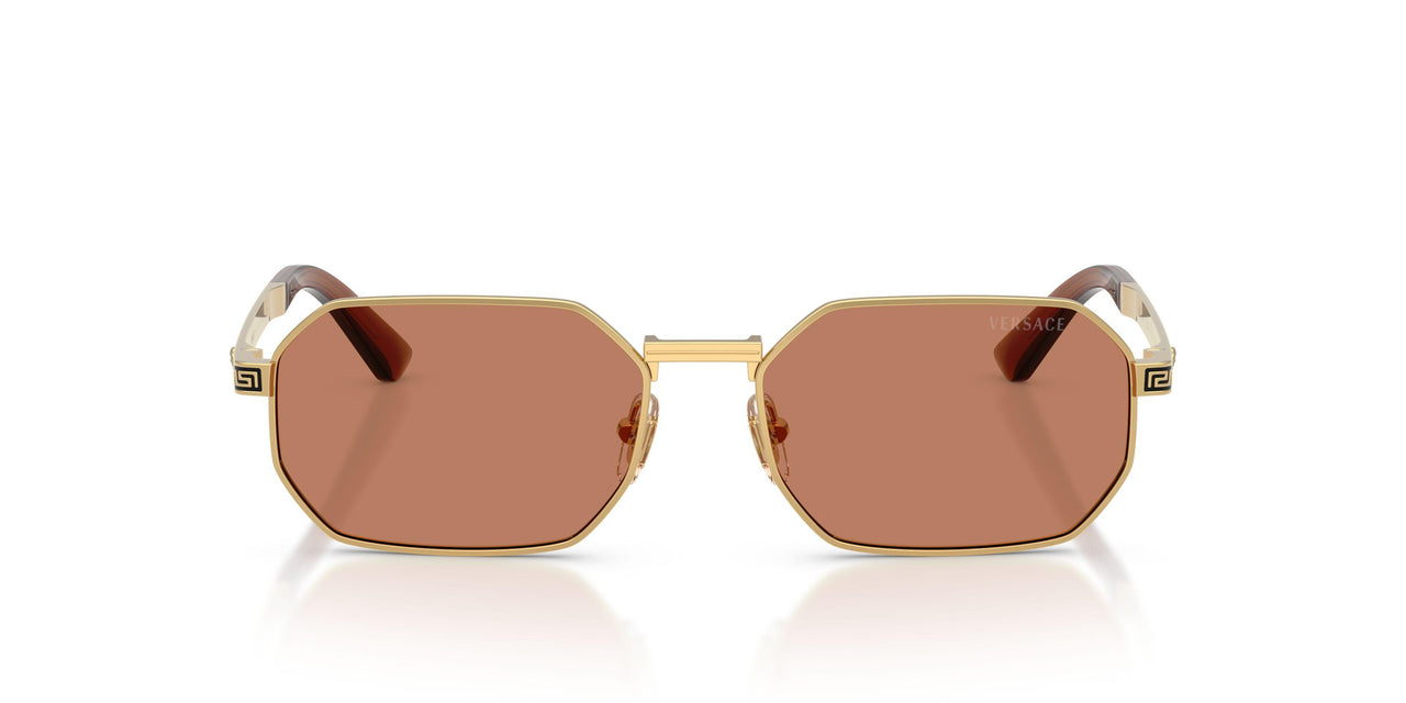 100273 - Gold - Brown