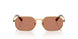 100273 - Gold - Brown