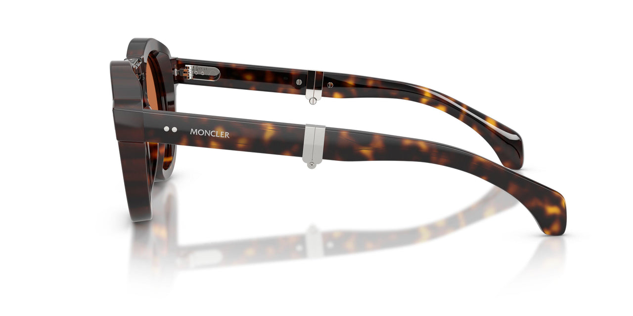 300273 - Tortoise - Brown Solid