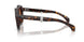 300273 - Tortoise - Brown Solid