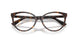 5002 - Tortoise