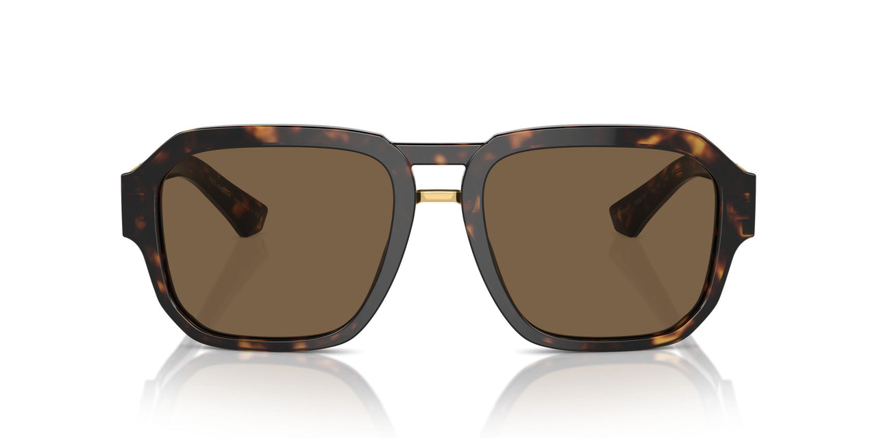 502/73 - Tortoise - Dark Brown