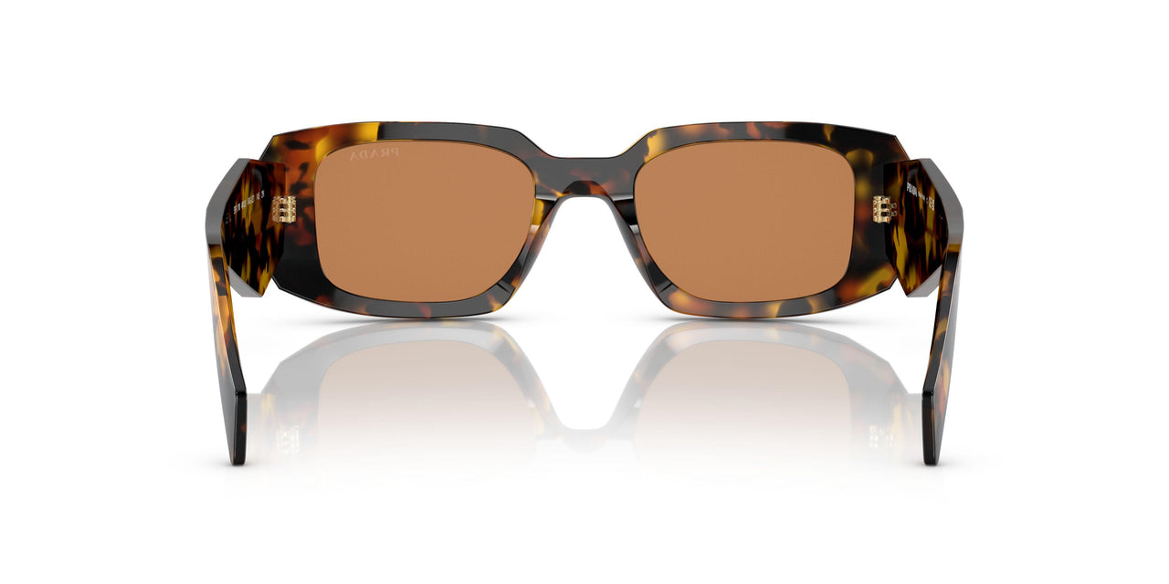 VAU2Z1 - Havana - Dark Brown