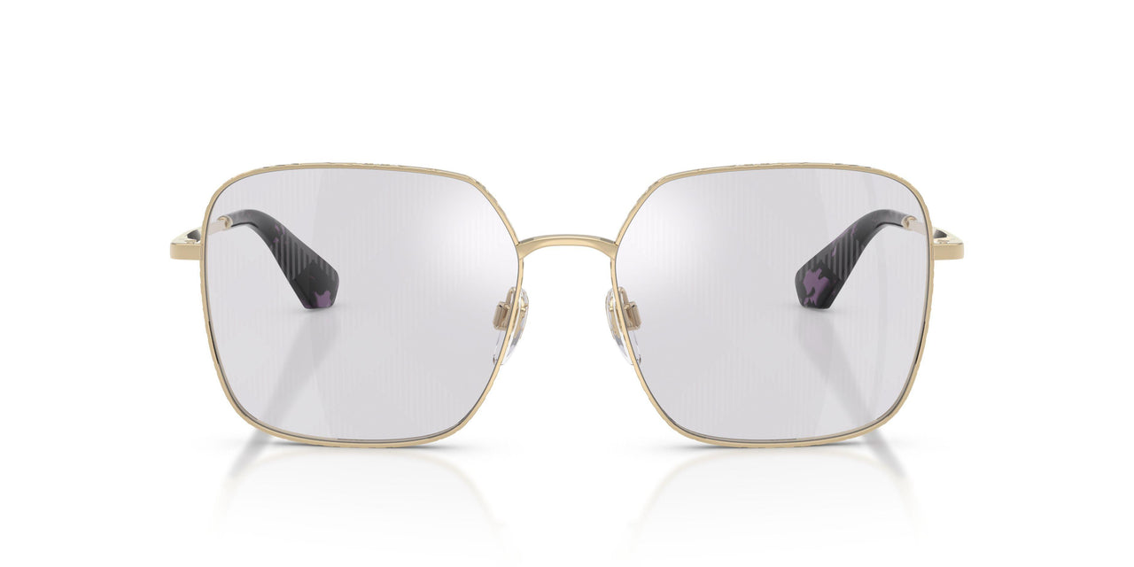 1109AI - Gold - Grigio Transition